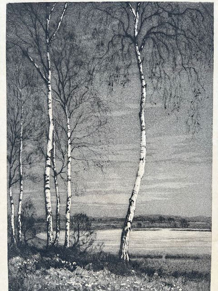 "Einsamkeit" Birch Trees by George Fritz - Etching - Signed AP1758