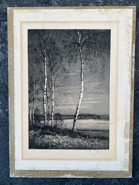 "Einsamkeit" Birch Trees by George Fritz - Etching - Signed AP1758