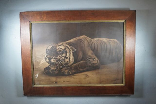 19th Century Black and White Lithograph of a Tiger AP1775