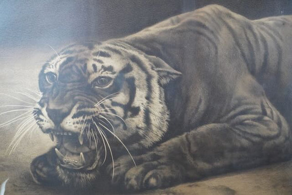 19th Century Black and White Lithograph of a Tiger AP1775