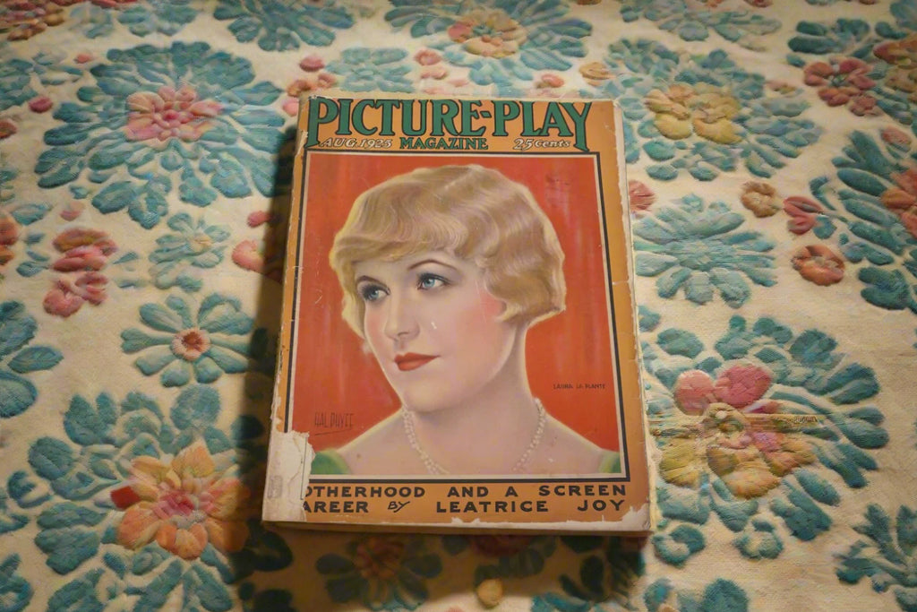 Picture Play Magazine 1925 - Laura La Plante Cover AP1037
