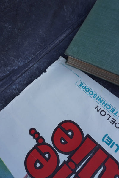 Je T'Aime Nathalie Original Alain Delon Film Poster Spanish Release of Doucement Les Basses 1971 AP1983