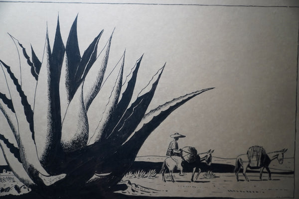 Edward Grannis, Original Ink Drawing, Viajero Y Burros c.1930s AP1998