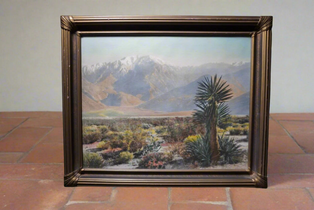 Hand-Tinted Photograph of Palm Springs by Frederich Martin AP2005