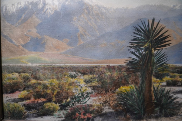 Hand-Tinted Photograph of Palm Springs by Frederich Martin AP2005