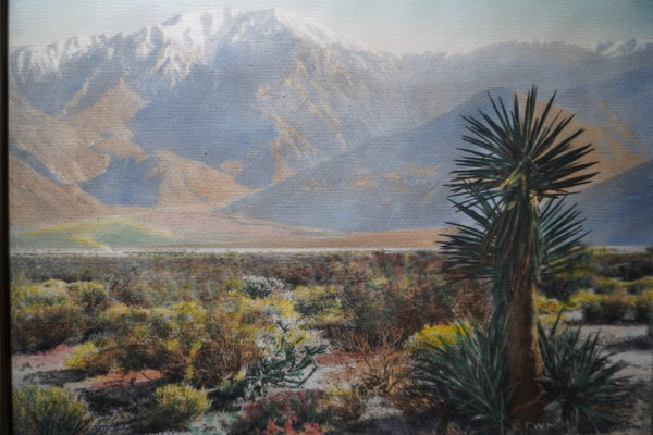 Hand-Tinted Photograph of Palm Springs by Frederich Martin AP2005