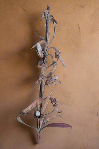 Four Light Corn Sconce in Wrought Iron L789