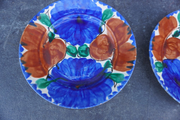 Pair of Oaxacan Hand-Painted Dinner Plates M1956