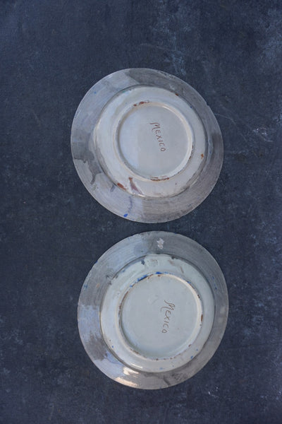 Pair of Oaxacan Hand-Painted Dinner Plates M1956