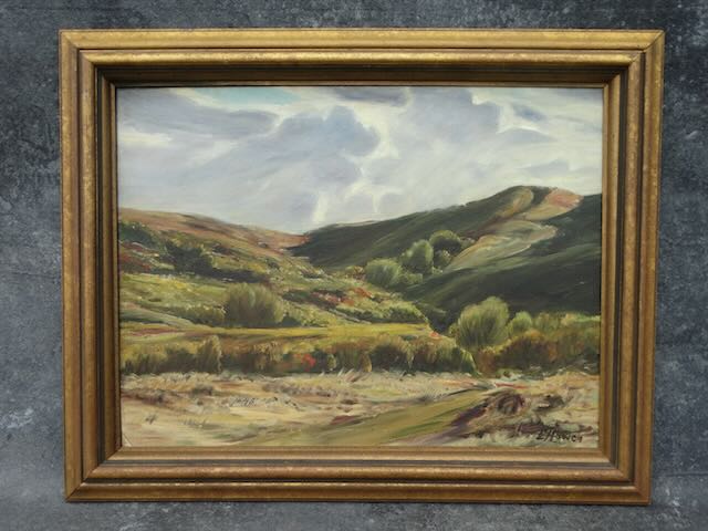 Elizabeth Howen (1903-1985) - (untitled ) Arid Hill Country Landscape - Oil on Board P3155