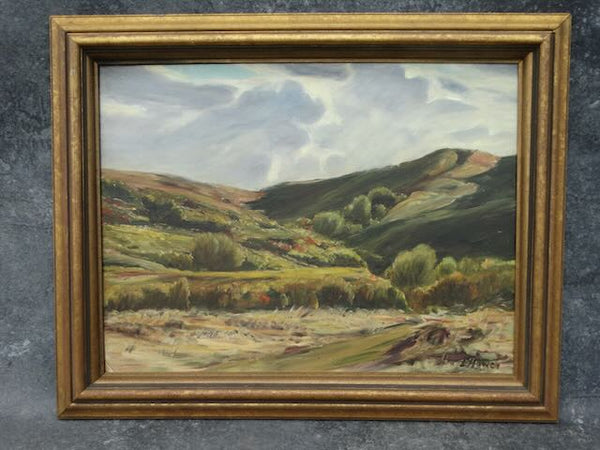 Elizabeth Howen (1903-1985) - (untitled ) Arid Hill Country Landscape - Oil on Board P3155