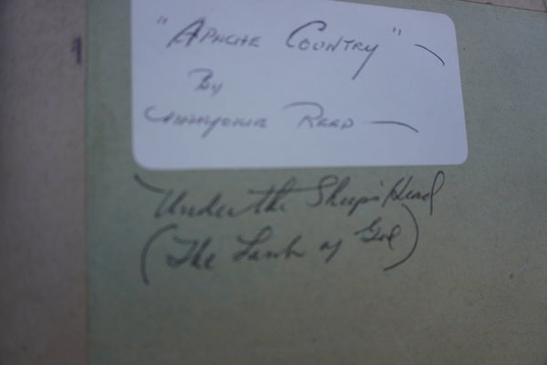 Marjorie Reed - Apache Country, or, Under The Sheep's Head, Land of God - Oil on Board P3270