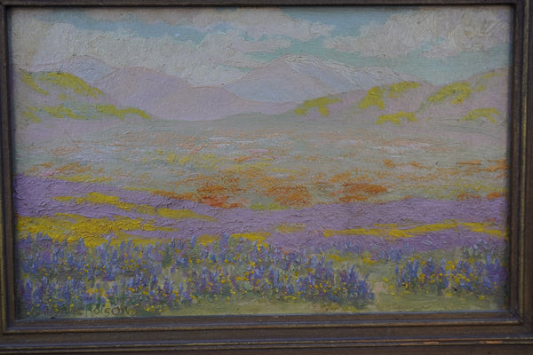 Charles Wesley Nicholson Antelope Valley Poppy Bloom Oil on Board P3342