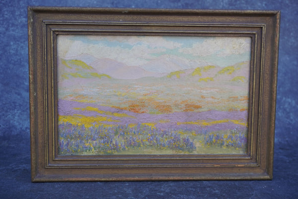 Charles Wesley Nicholson Antelope Valley Poppy Bloom Oil on Board P3342