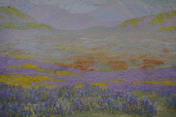 Charles Wesley Nicholson Antelope Valley Poppy Bloom Oil on Board P3342