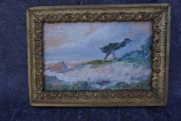 The Ostrich Tree on Trail Drive by Helen Cheney Brown c.1926, Oil on Board P3368