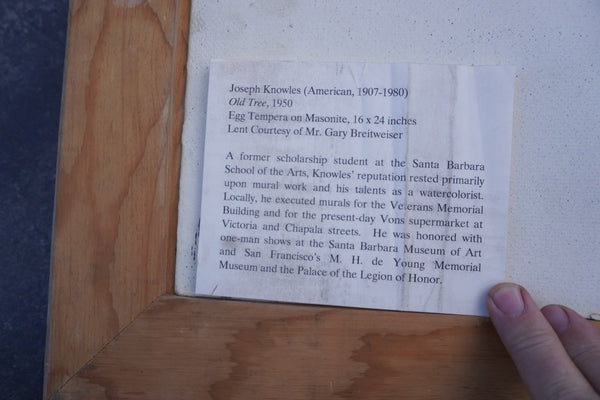 Old Tree by Joseph Knowles, c.1950, Egg Tempera on Board P3431