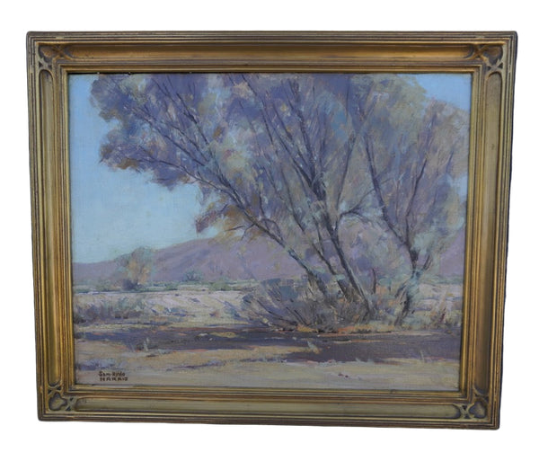 Double-Sided Desert Landscape by Sam Hyde Harris P3434
