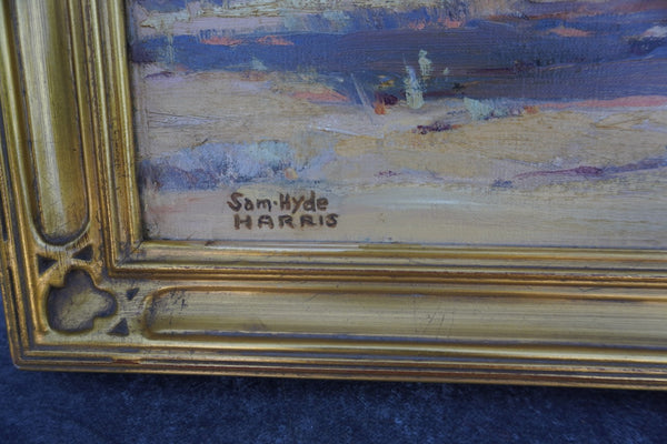 Double-Sided Desert Landscape by Sam Hyde Harris P3434