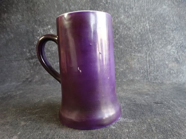 Fraternal Order of Elks Beer Stein c 1900 A2359