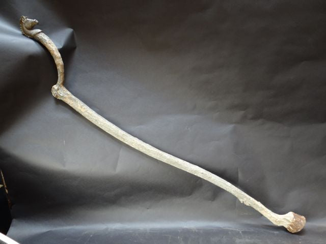 Folk Art Cane or Scepter or Staff of Office with Horse Head and Hoof A566