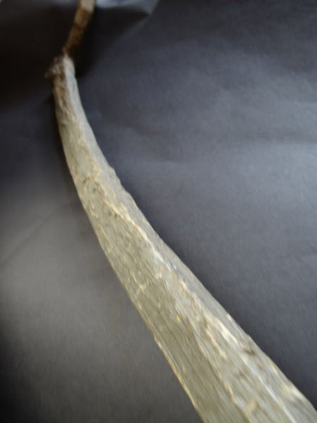 Folk Art Cane or Scepter or Staff of Office with Horse Head and Hoof A566
