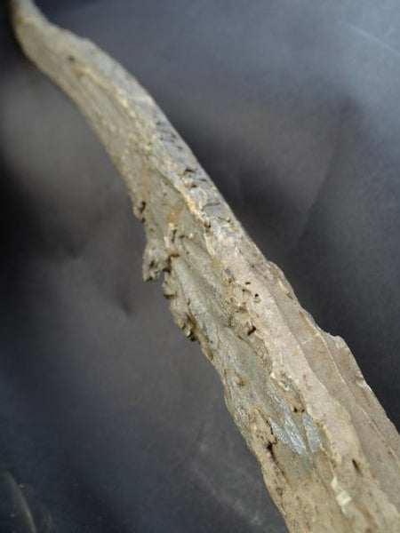 Folk Art Cane or Scepter or Staff of Office with Horse Head and Hoof A566