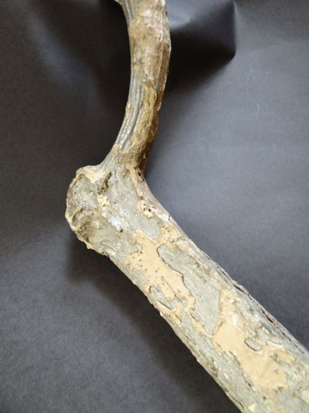 Folk Art Cane or Scepter or Staff of Office with Horse Head and Hoof A566