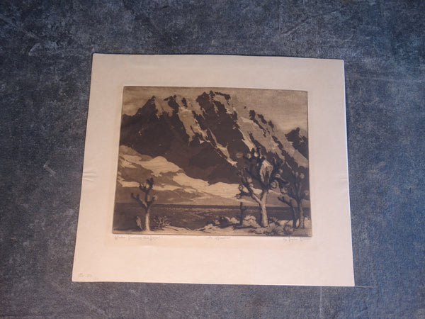 Orpha Klinker - Winter Touches the Desert - Aquatint AP1628