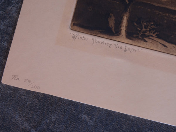 Orpha Klinker - Winter Touches the Desert - Aquatint AP1628