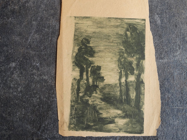 Annita Delano - Stand of Tall Trees Bordering A Path At Night - Lithograph AP1632