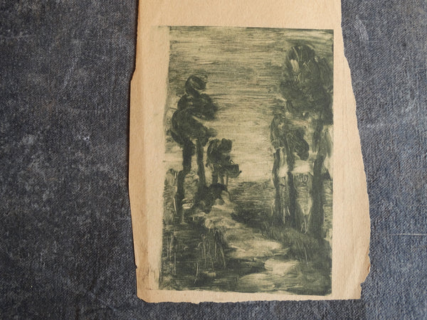 Annita Delano - Stand of Tall Trees Bordering A Path At Night - Lithograph AP1632