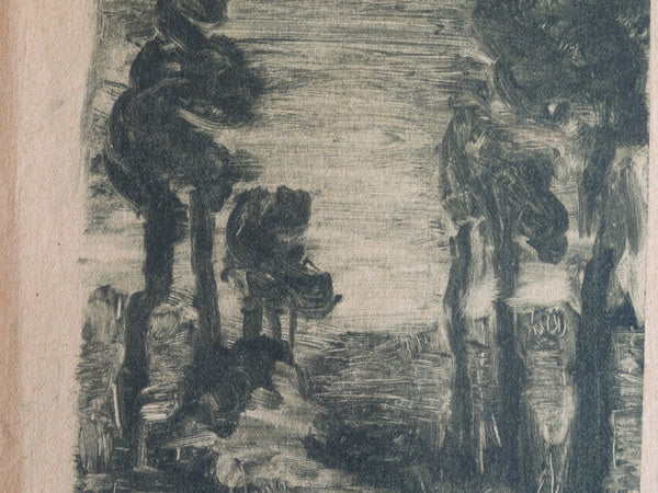 Annita Delano - Stand of Tall Trees Bordering A Path At Night - Lithograph AP1632