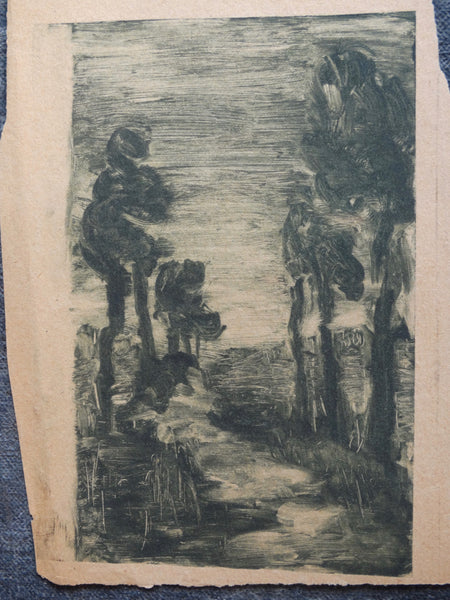 Annita Delano - Stand of Tall Trees Bordering A Path At Night - Lithograph AP1632