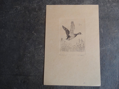 Mallards - Etching AP1637