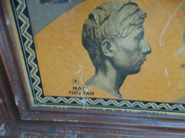 Races of the World and Where They Live --  Poster