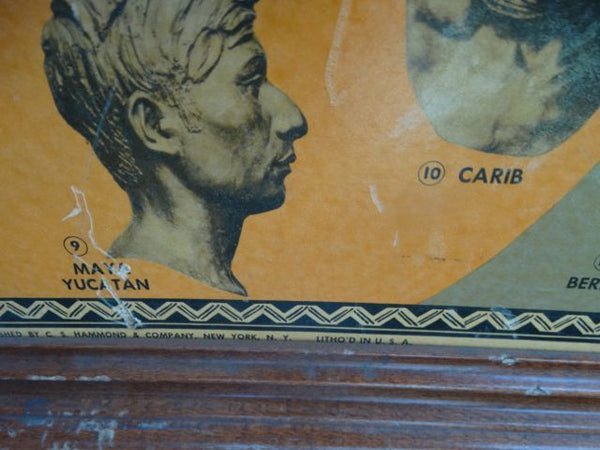 Races of the World and Where They Live --  Poster