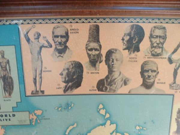 Races of the World and Where They Live --  Poster