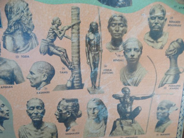 Races of the World and Where They Live --  Poster