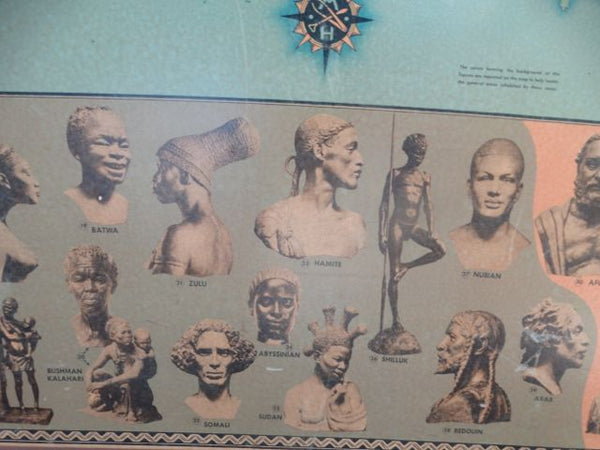 Races of the World and Where They Live --  Poster