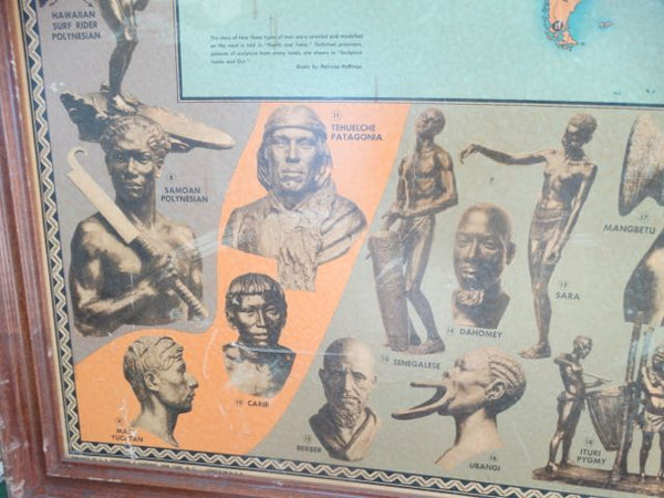 Races of the World and Where They Live --  Poster