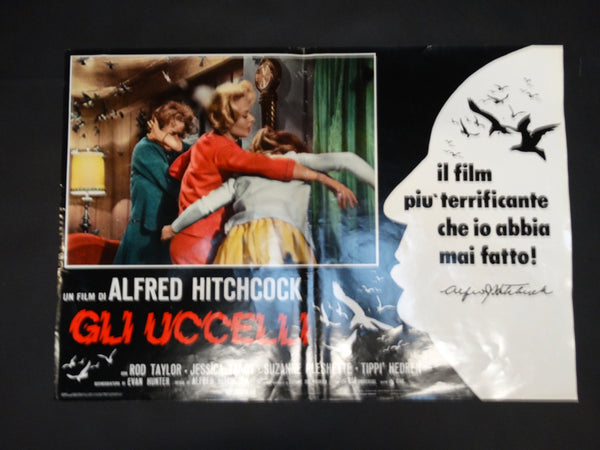 Alfred Hitchcock - THE BIRDS -  Italian poster version - GLI UCCELLI