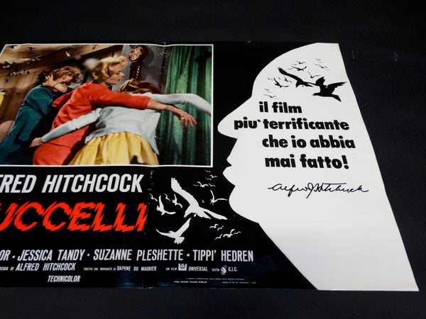 Alfred Hitchcock - THE BIRDS -  Italian poster version - GLI UCCELLI