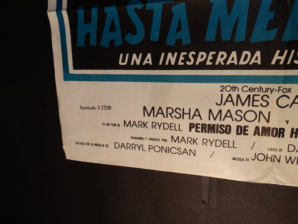 CINDERELLA LIBERTY 1973 (Permiso de Amor Hasta Medianoche) vintage Spanish language one-sheet