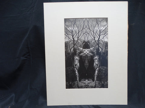 Edmund Teske (1911-1996) Silver Print Untitled