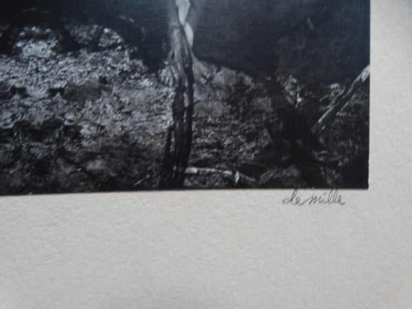 Edmund Teske (1911-1996) Silver Print Untitled