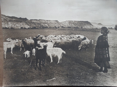 Carpenter Photo: Indian Goat Herder