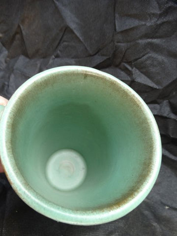 Catalina Descanso Green Mug #2