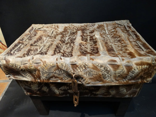 Mexican Stagecoach Trunk