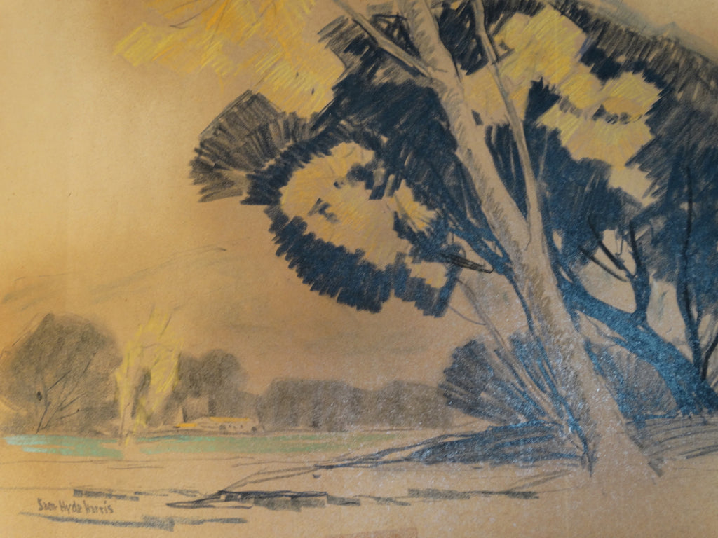 Sam Hyde Harris: Adobe in Distance #6 P1569